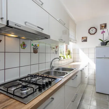 Appartement Family Friendly With A Swimming Pool Cepic, Istria - Sredisnja Istra - 11636